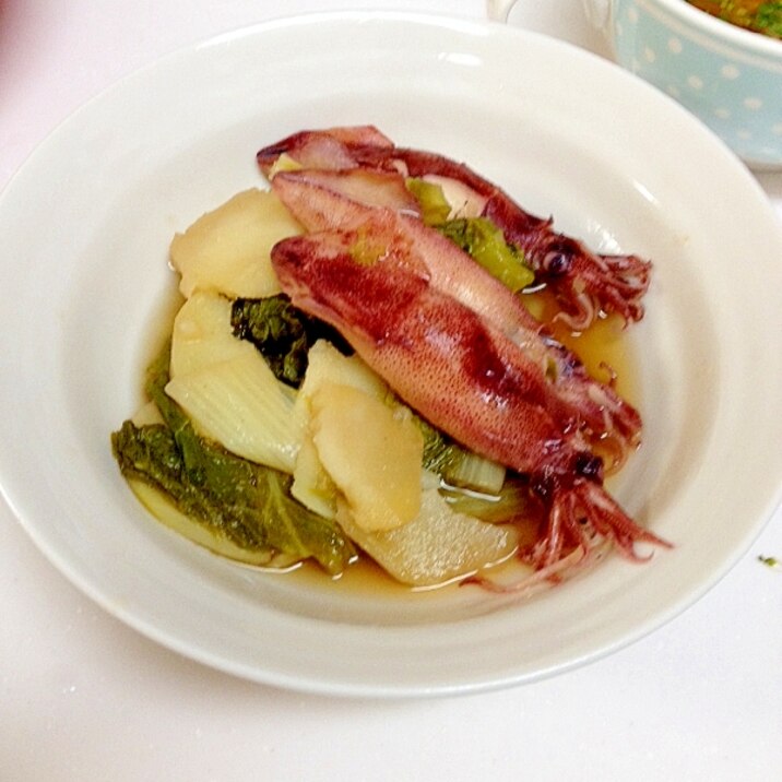 子持ちイカと菜っ葉の煮物 レシピ 作り方 By とっこ 楽天レシピ 子持ちイカと菜っ葉の煮物 レシピ 作り方 By とっこ 楽天レシピ